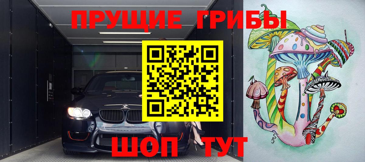 Псилоцибиновые грибы мицелий Орск